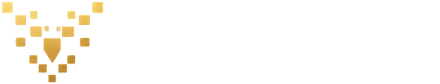 바이브랩스 VibeLabs